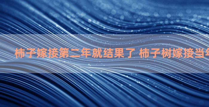 柿子嫁接第二年就结果了 柿子树嫁接当年能结果么